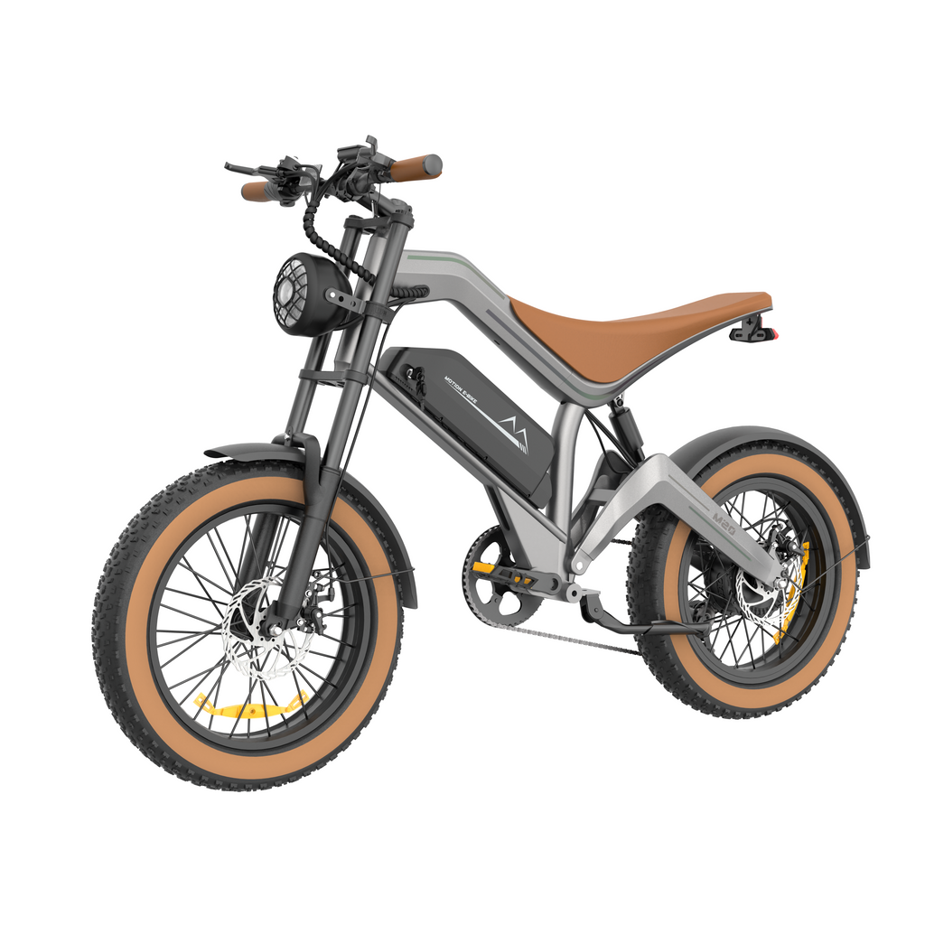DYU M20 Electric Fat Bike | 750W 15.6Ah 48V