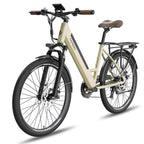 250W electric mountain bike with 36V 14.5Ah removable battery.