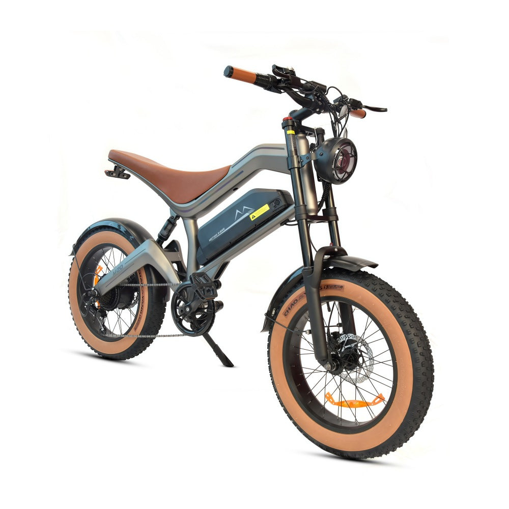 DYU M20 Electric Fat Bike | 750W 15.6Ah 48V