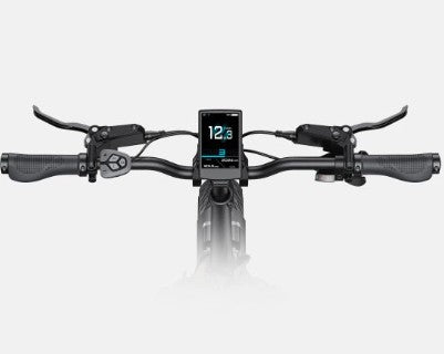 ENGWE L20 3.0 Pro Folding Electric Bike
