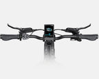 ENGWE L20 3.0 Pro Folding Electric Bike