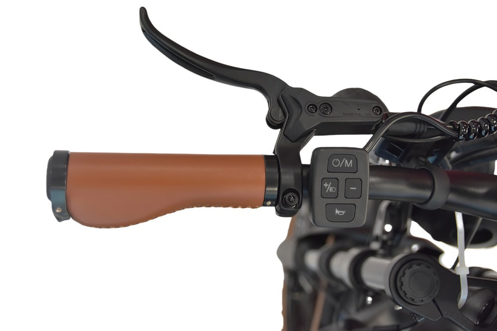 DYU M20 Electric Fat Bike | 750W 15.6Ah 48V