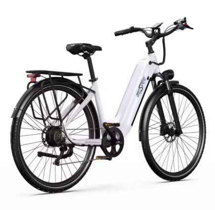 Close-up of front hydraulic disc brake on a black commuter e-bike.