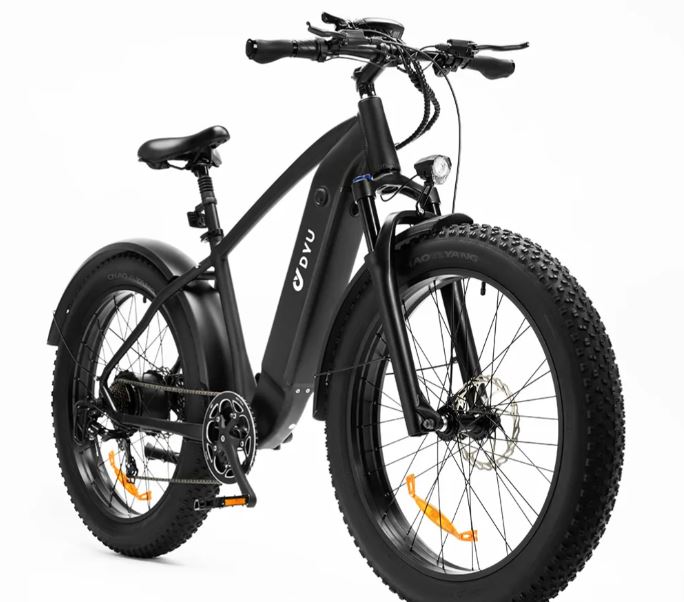 Electric bicycle DYU KING 20Ah 750W