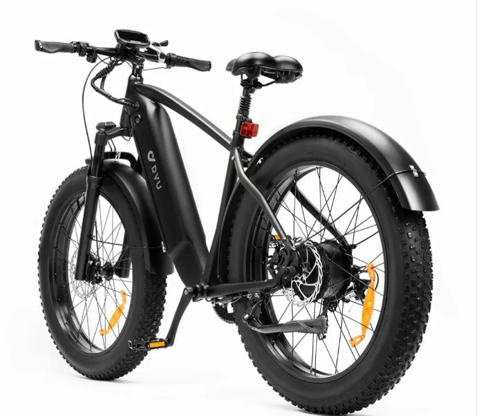 Electric bicycle DYU KING 20Ah 750W