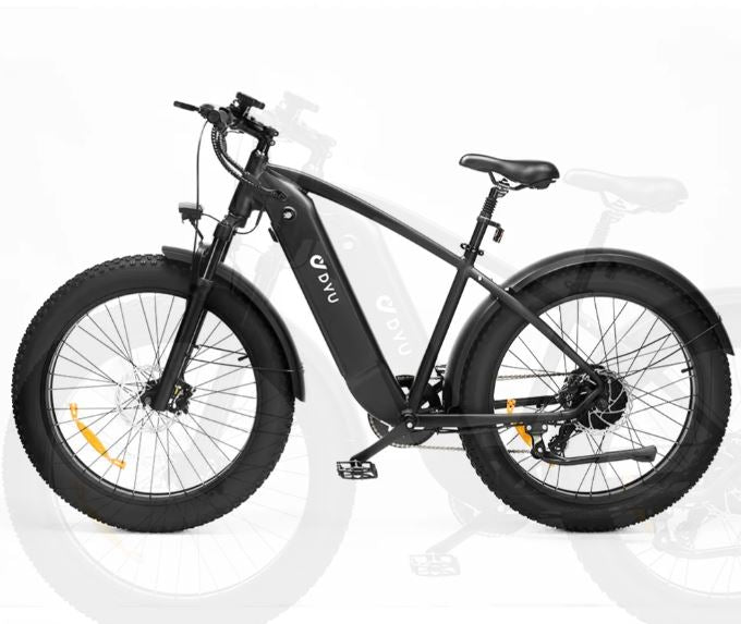 Electric bicycle DYU KING 20Ah 750W