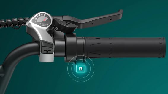 ENGWE L20 Boost Electric Bike | 250W 13Ah 48V