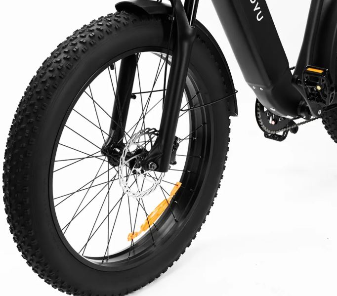Electric bicycle DYU KING 20Ah 750W