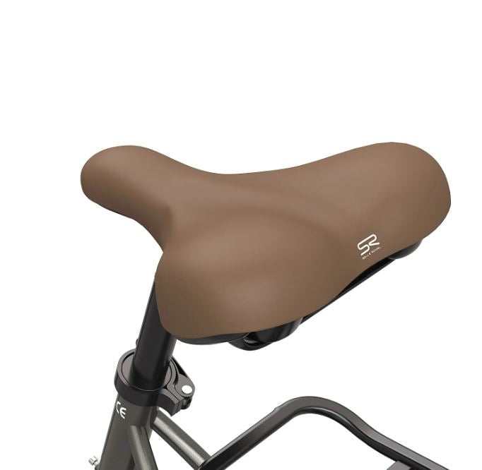 Electric bike FAFREES F26 14.5Ah 250W